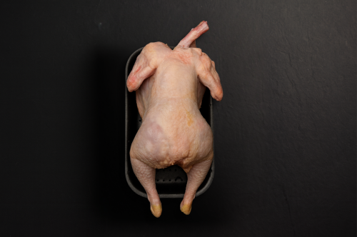 עוף שלם (נקי)