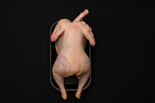 עוף שלם (נקי)