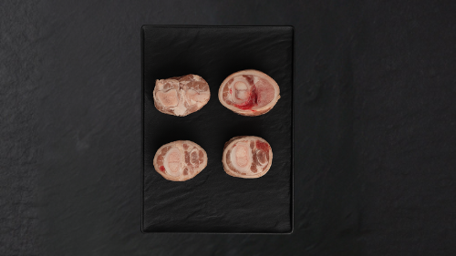 עיצוב ללא שם (10)