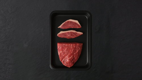 עיצוב ללא שם (31)